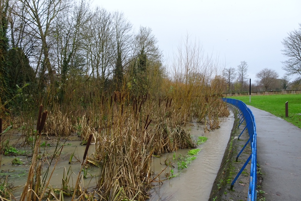 Beck In Hull Road Park Ds Pugh Geograph Britain And Ireland