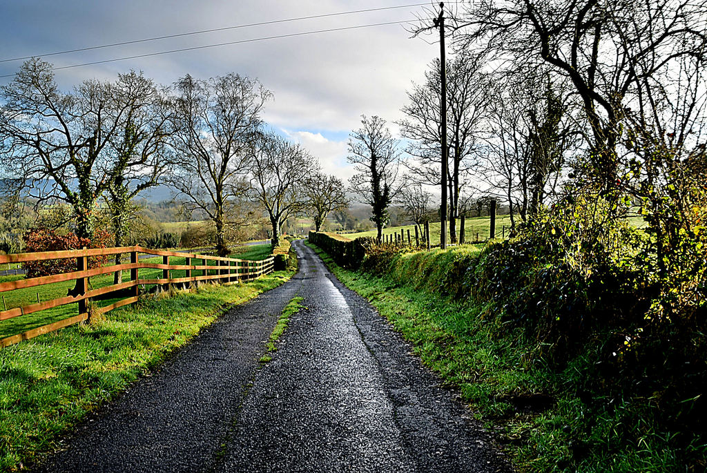 Bare Trees Along Killynure Road Kenneth Allen Cc By Sa