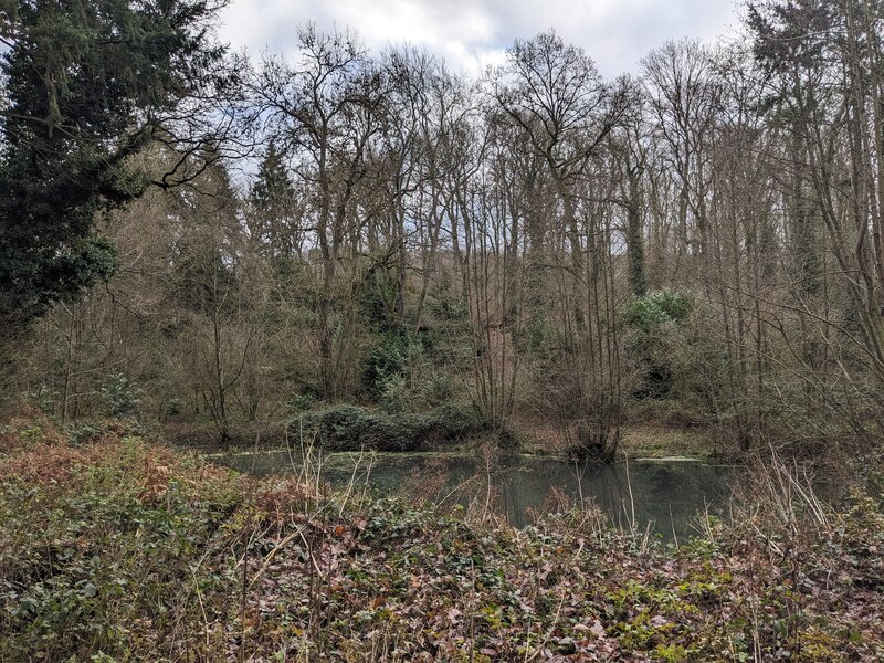 Pool In Westhide Wood Fabian Musto Cc By Sa Geograph Britain