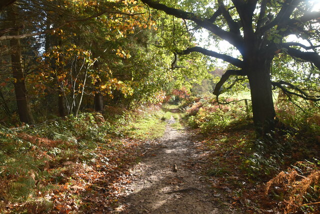 High Weald Landscape Trail N Chadwick Cc By Sa Geograph