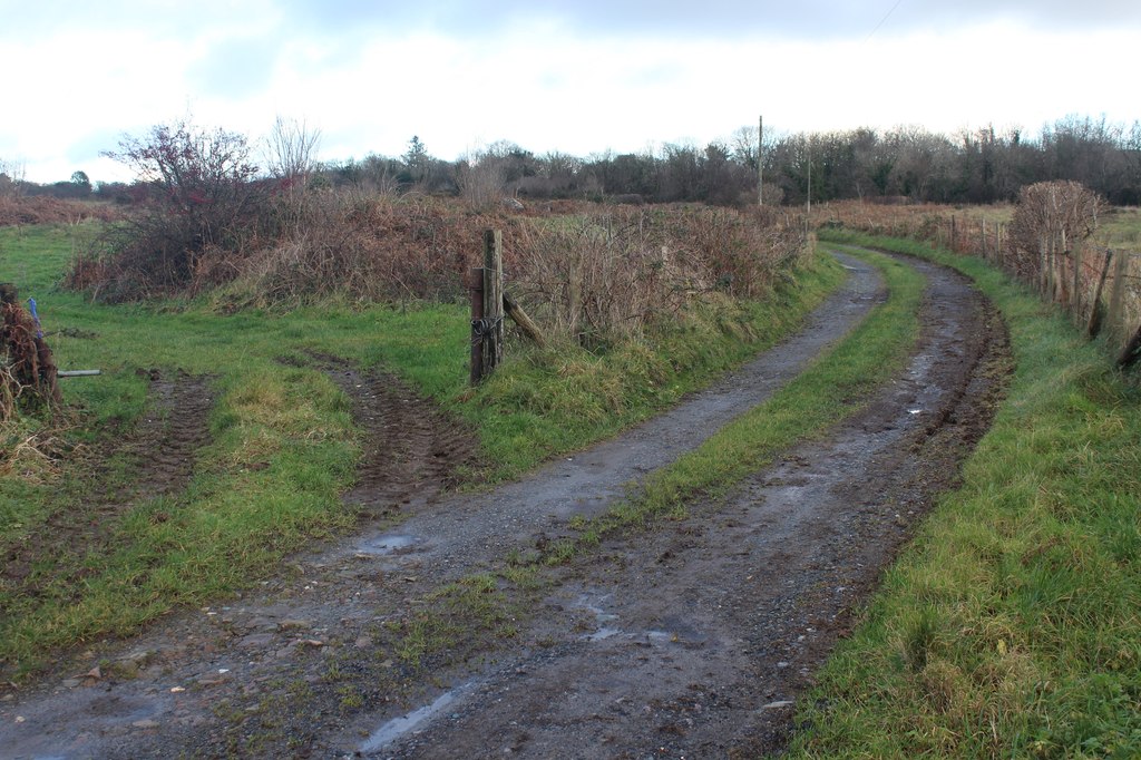 Track To Ynysfawr M J Roscoe Cc By Sa 2 0 Geograph Britain And Ireland