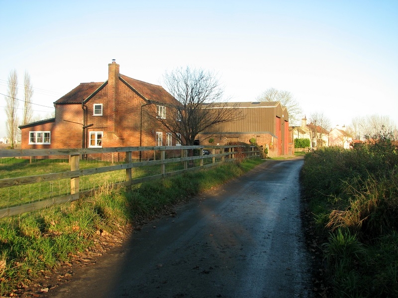 Hardley Street Approaching Street Farm Evelyn Simak Cc By Sa