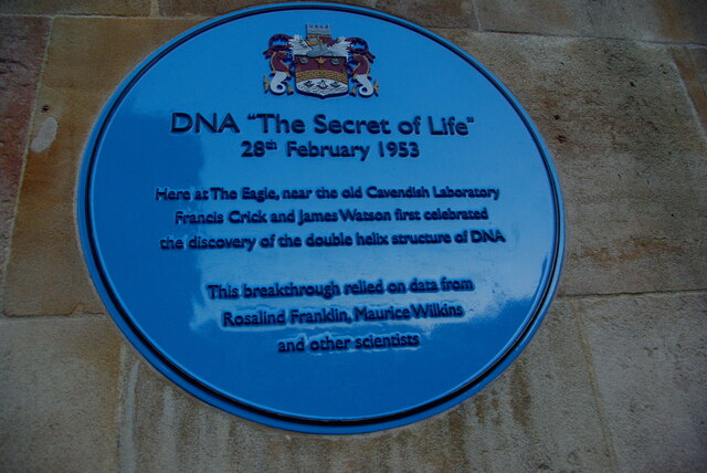 DNA The Secret Of Life Tiger Cc By Sa 2 0 Geograph Britain And