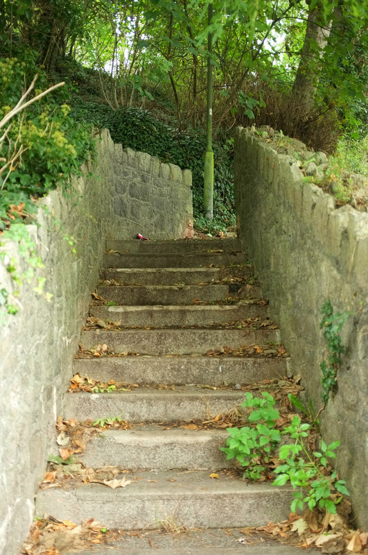 Steps To Truro Avenue Torquay Derek Harper Cc By Sa 2 0 Geograph