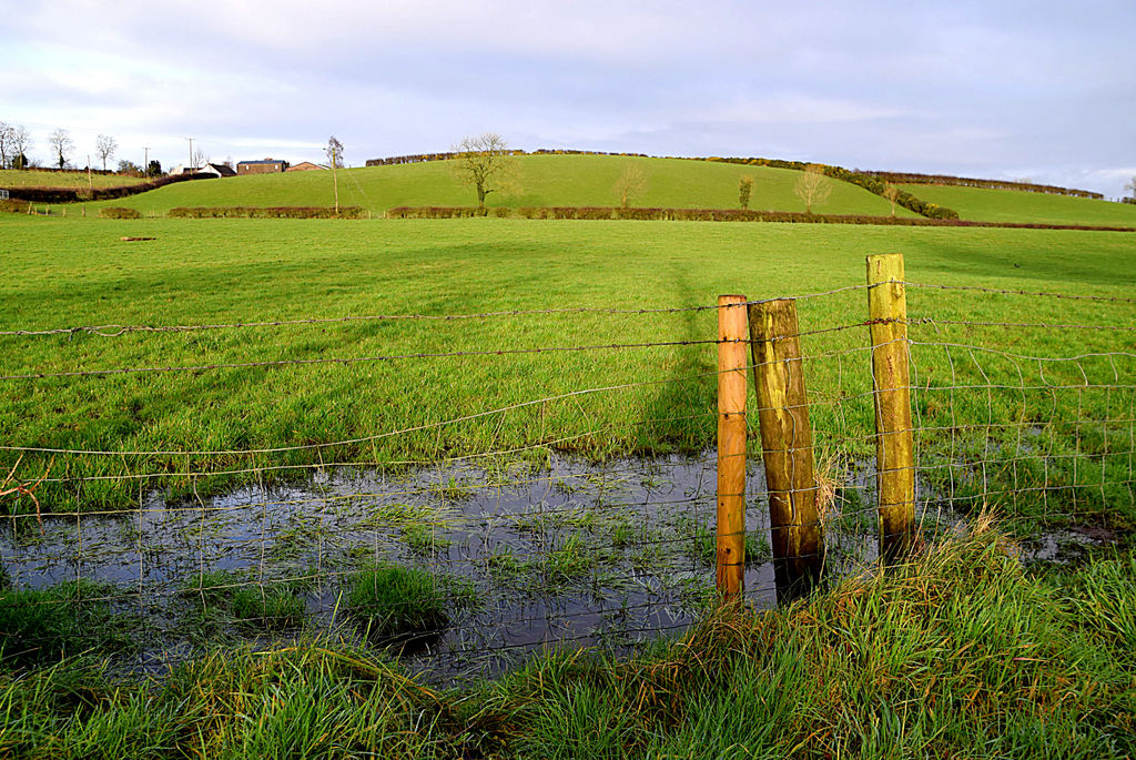 Wet Ground Laragh Kenneth Allen Geograph Britain And Ireland