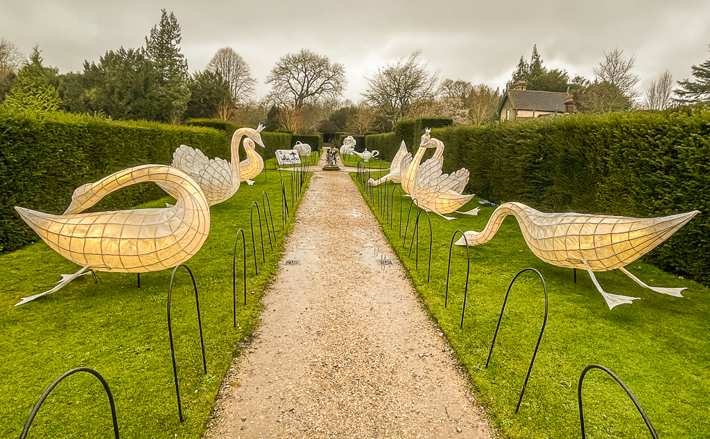 Formal Garden Christmas 2023 Ian Capper Geograph Britain And Ireland