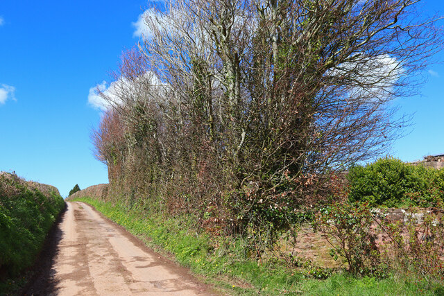 Minor Road Wayland Smith Cc By Sa 2 0 Geograph Britain And Ireland