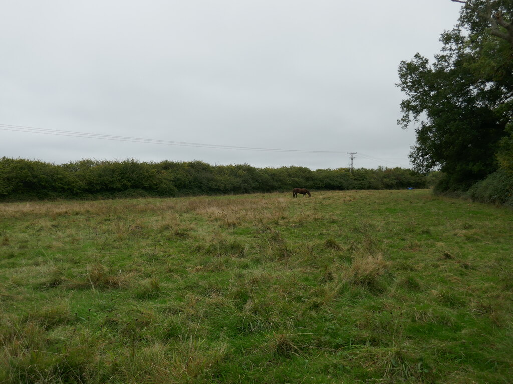 Grass Field Near Pipewell Jonathan Thacker Cc By Sa 2 0 Geograph