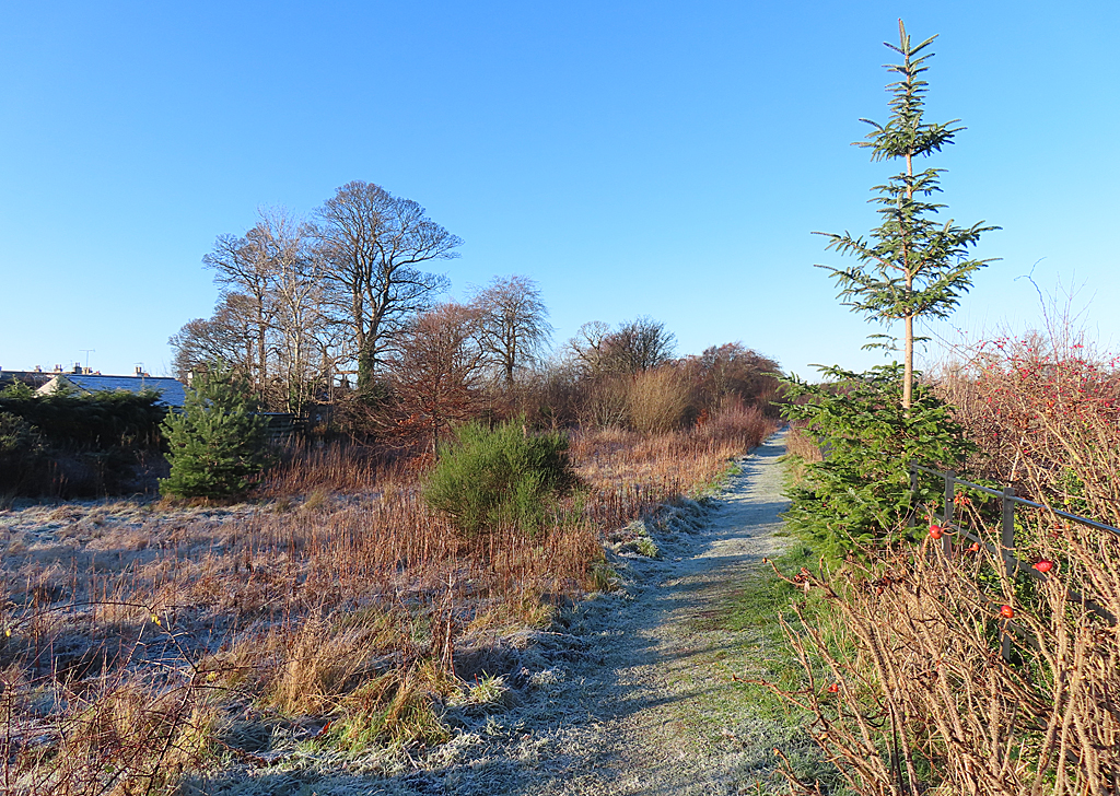 Unofficial Path Anne Burgess Geograph Britain And Ireland