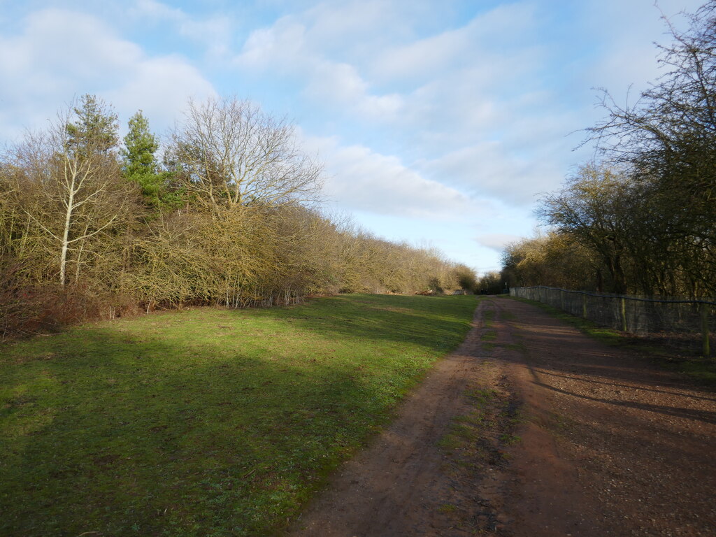 Bridleway To Farcet Jonathan Thacker Geograph Britain And Ireland