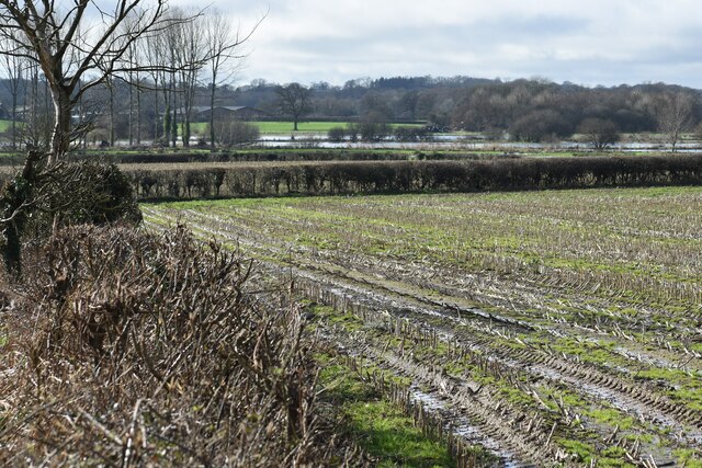 View West Across The Allen Valley David Martin Cc By Sa 2 0