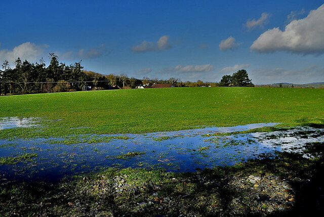 A Wet Field Mountjoy Forest West Kenneth Allen Cc By Sa 2 0