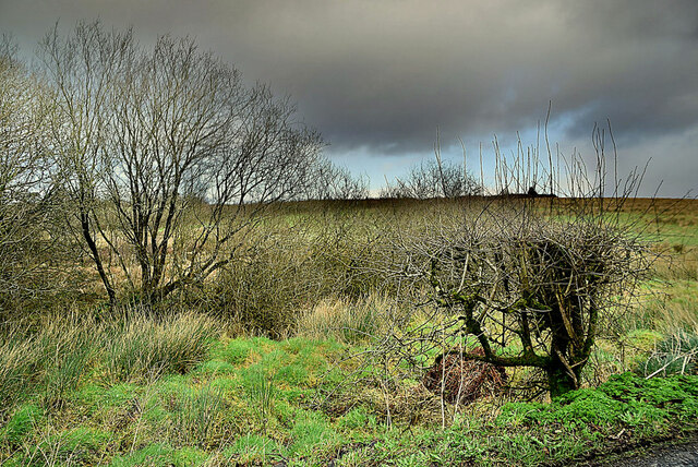 Dark Skies Mullaghslin Glebe Kenneth Allen Cc By Sa 2 0 Geograph