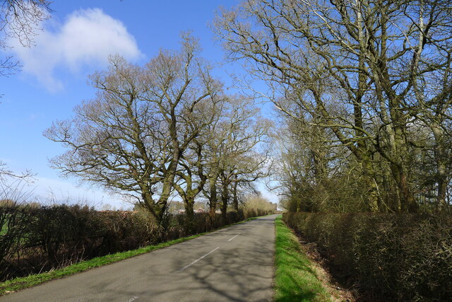 Keyworth Road Passing Guys Plantation Tim Heaton Geograph Britain