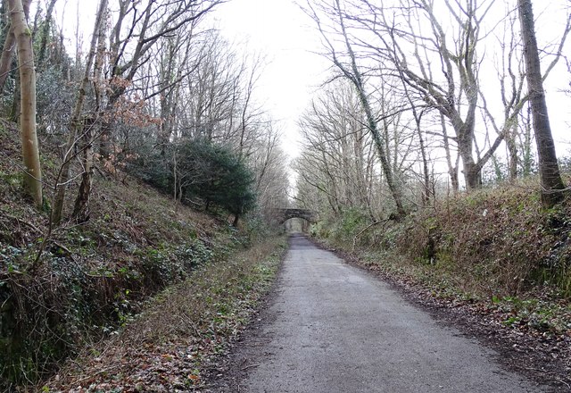 Cutting On The Derwent Walk Robert Graham Cc By Sa Geograph