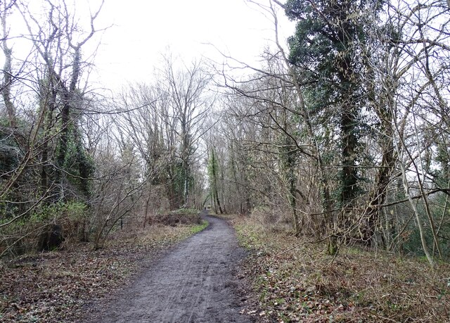 Derwent Walk Through Priestfield Wood Robert Graham Geograph