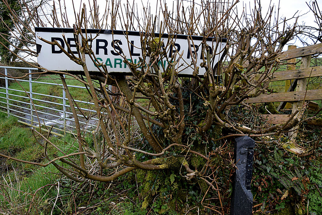 Damaged Road Sign Hidden In Hedge Kenneth Allen Cc By Sa