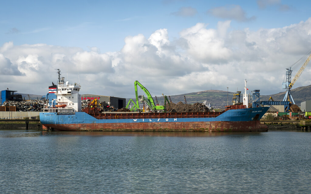 The Wilson Heron At Belfast Rossographer Geograph Britain And