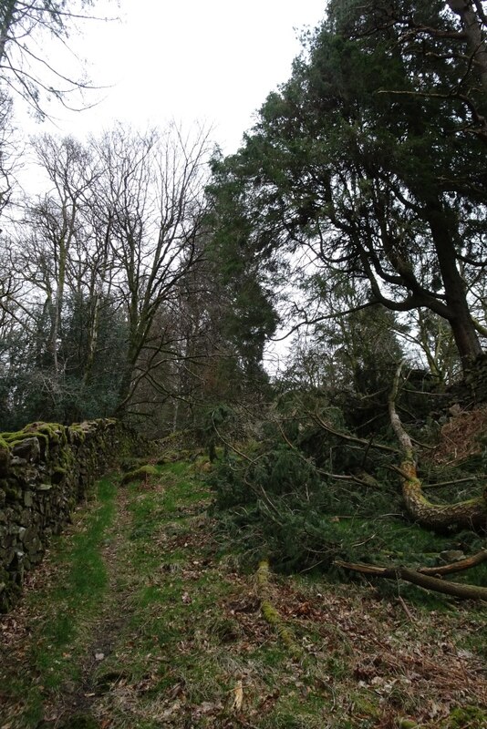 Path On Bracken Fell Ds Pugh Cc By Sa Geograph Britain And Ireland