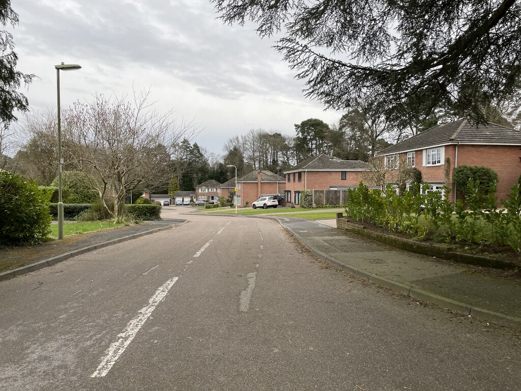 View Into Rosedene Gardens Mr Ignavy Cc By Sa 2 0 Geograph Britain