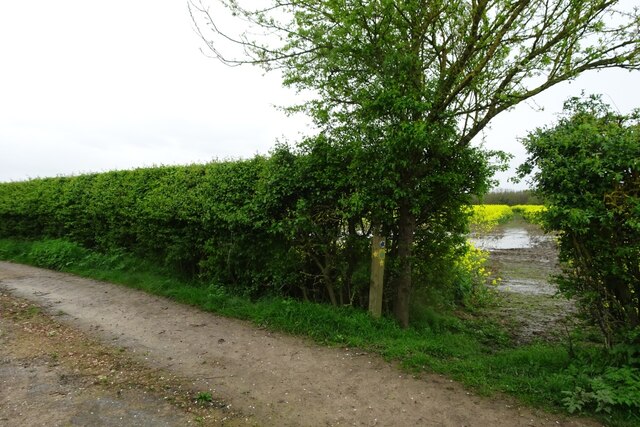 Bridleway Crossing Farmland Ds Pugh Geograph Britain And Ireland