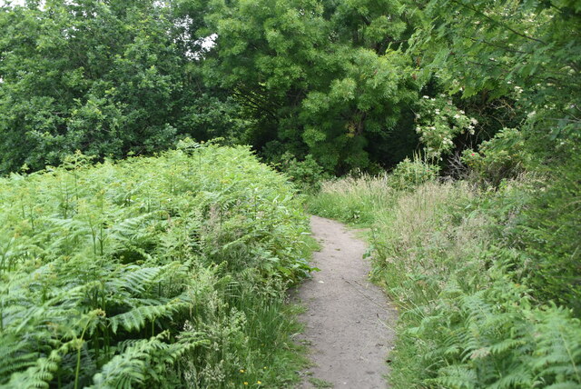 The Irwell Sculpture Trail N Chadwick Geograph Britain And Ireland