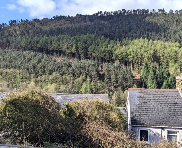 Wooded Hillside Abertillery Jaggery Cc By Sa 2 0 Geograph Britain