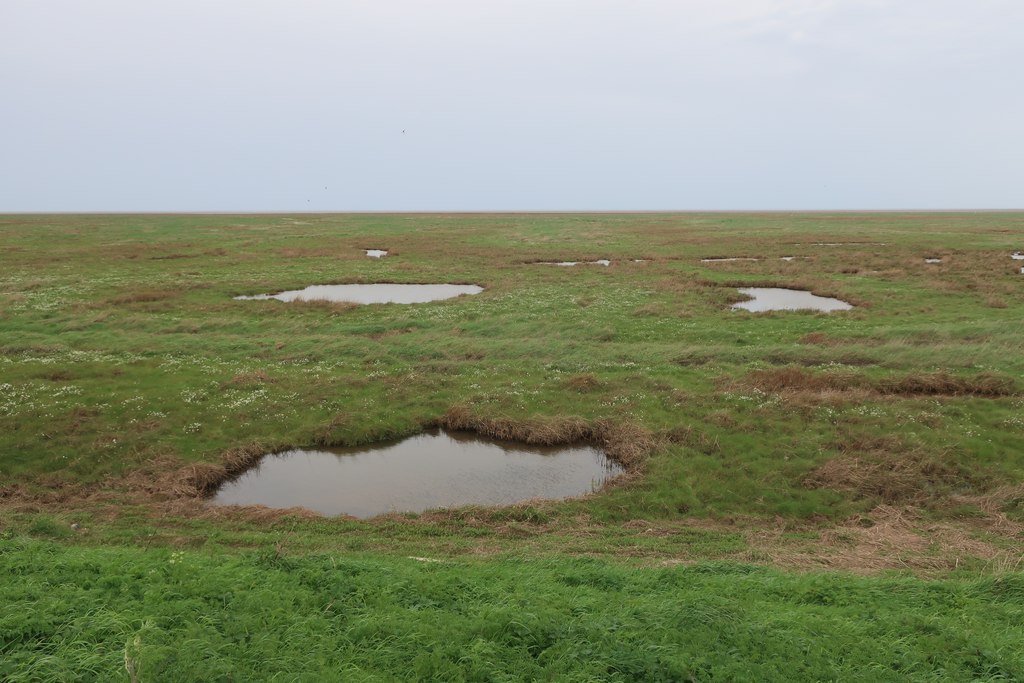 Pools In The Saltmarsh Hugh Venables Cc By Sa Geograph Britain