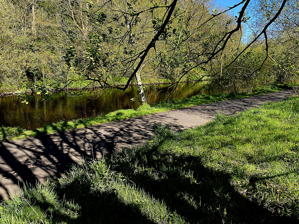 Tree Shadows Along The Camowen River Kenneth Allen Geograph