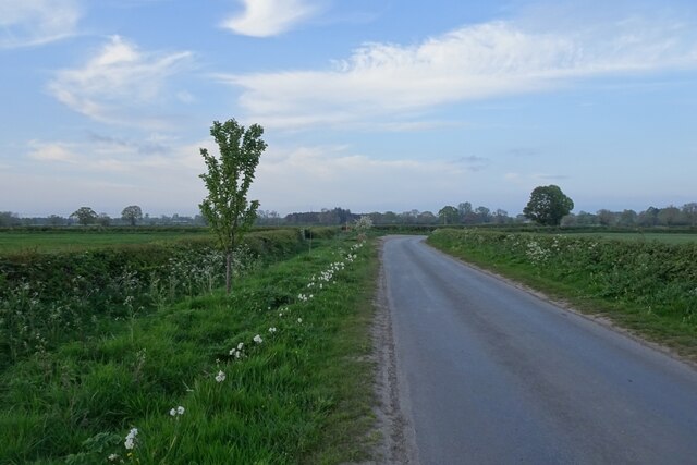 Flowers Along Rudcarr Lane Ds Pugh Cc By Sa Geograph Britain