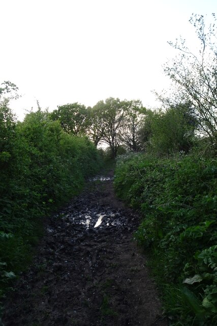 Muddy Bridleway North Of Brockfield Farm DS Pugh Cc By Sa 2 0