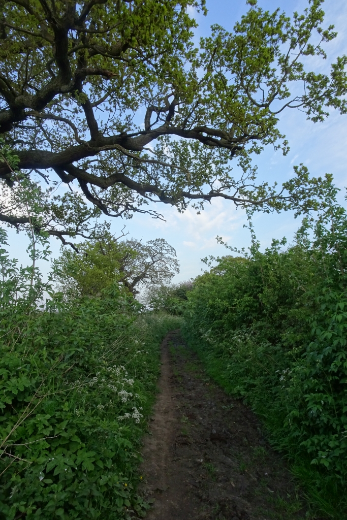 Bridleway Towards Rudcarr Lane Ds Pugh Cc By Sa Geograph