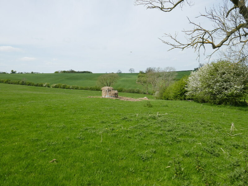 Grass Field Off Manor Lane Jonathan Thacker Cc By Sa Geograph