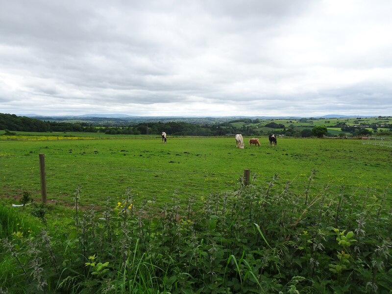 Path View Gordon Griffiths Geograph Britain And Ireland