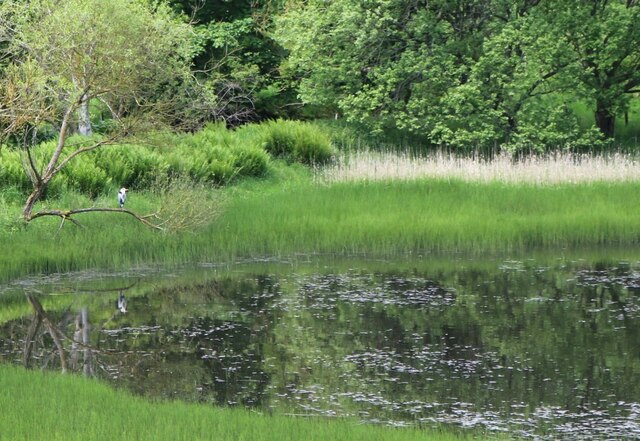 The Binn Pond Bill Kasman Cc By Sa Geograph Britain And Ireland