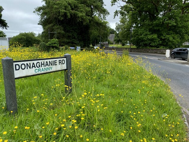 Donaghanie Road Cranny Kenneth Allen Cc By Sa Geograph