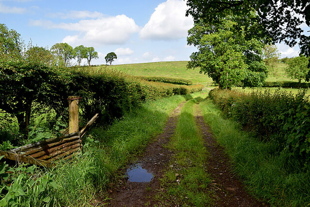 Rough Lane Kiltamnagh Kenneth Allen Geograph Britain And Ireland