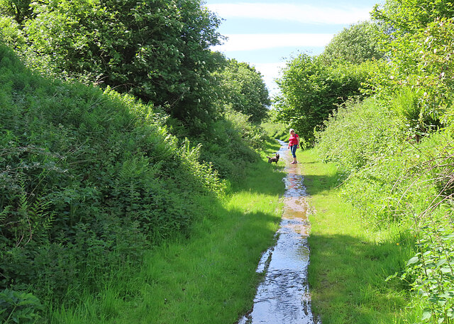 A Wet Patch Anne Burgess Cc By Sa Geograph Britain And Ireland