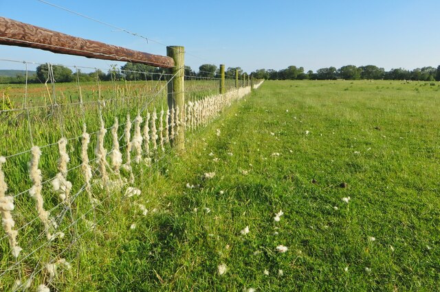 Wooly Fence By The Footpath Philip Jeffrey Cc By Sa Geograph