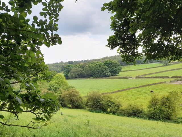 Pickard S Baulk Ian Calderwood Geograph Britain And Ireland