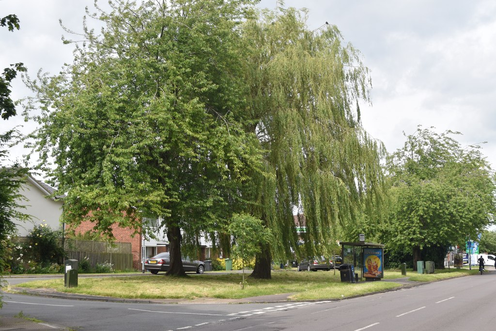 Beside Cherry Hinton Road David Martin Cc By Sa Geograph