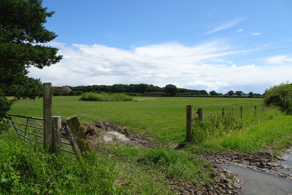 Field Entrance Beside Southmoor Road Ds Pugh Geograph Britain And