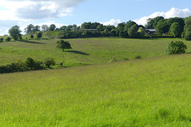 Pasture Ipsden Andrew Smith Cc By Sa Geograph Britain And Ireland