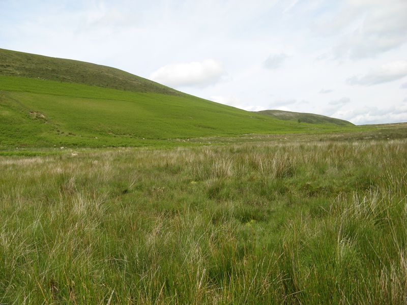 Boggy Ground Jonathan Wilkins Cc By Sa Geograph Britain And