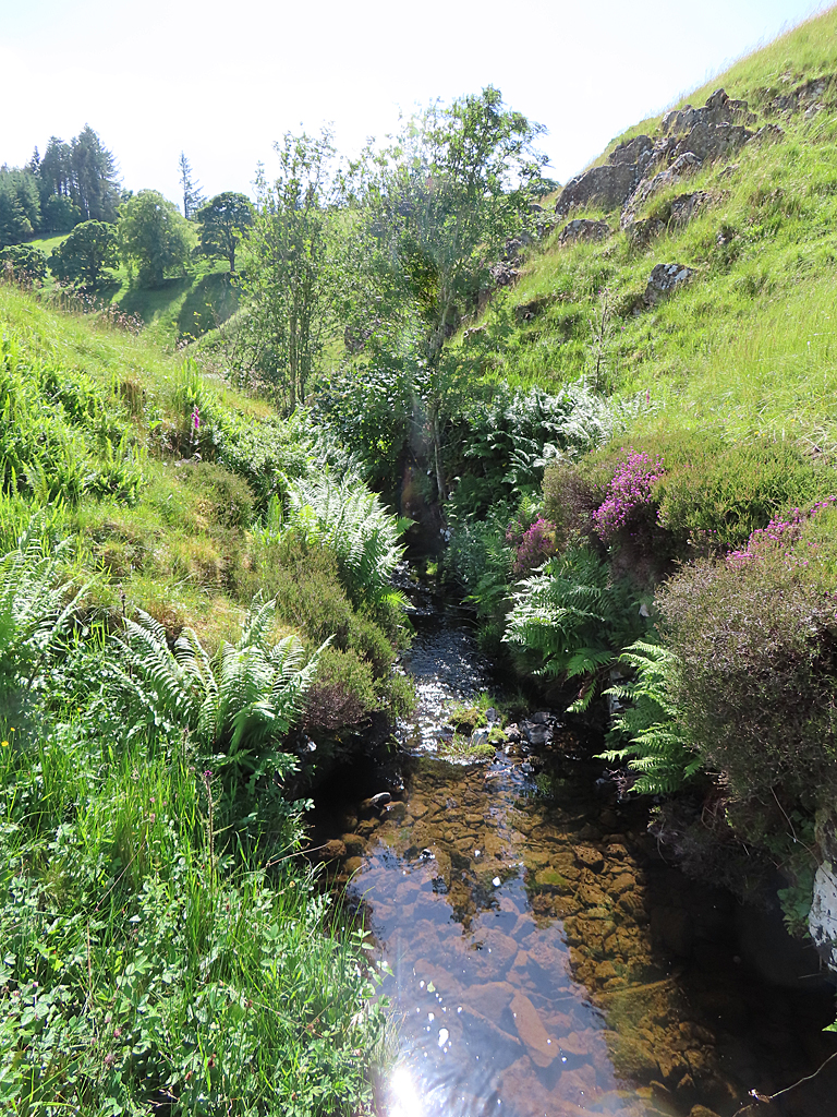 Heckle Burn Anne Burgess Geograph Britain And Ireland