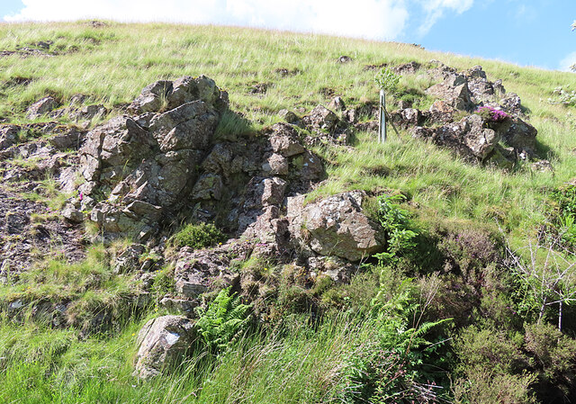 Rocky Outcrop Anne Burgess Cc By Sa 2 0 Geograph Britain And Ireland