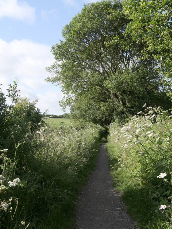 The Cinder Track Staintondale Habiloid Cc By Sa 2 0 Geograph