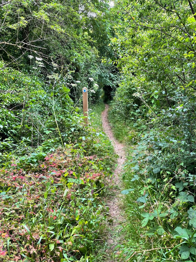 Footpath To Milford Bridge Philip Jeffrey Cc By Sa Geograph