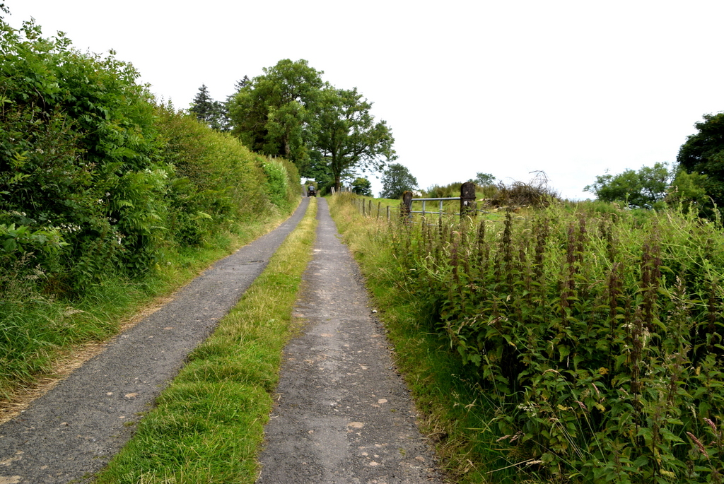 Minor Road Fallagh Lower Kenneth Allen Geograph Britain And Ireland