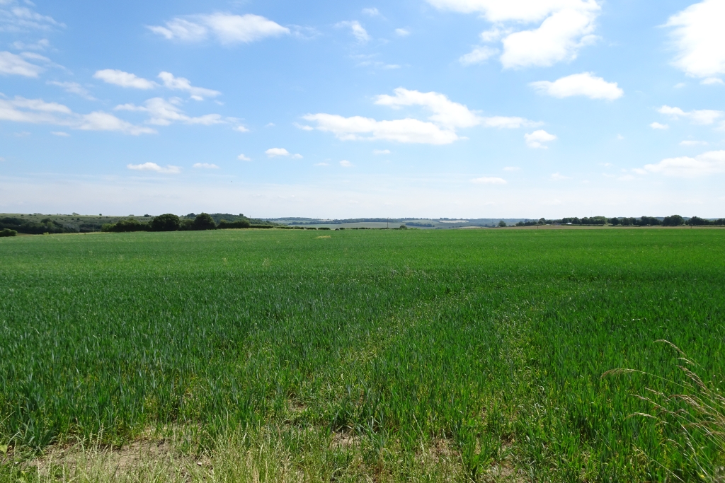 Fields East Of The M25 DS Pugh Cc By Sa 2 0 Geograph Britain And